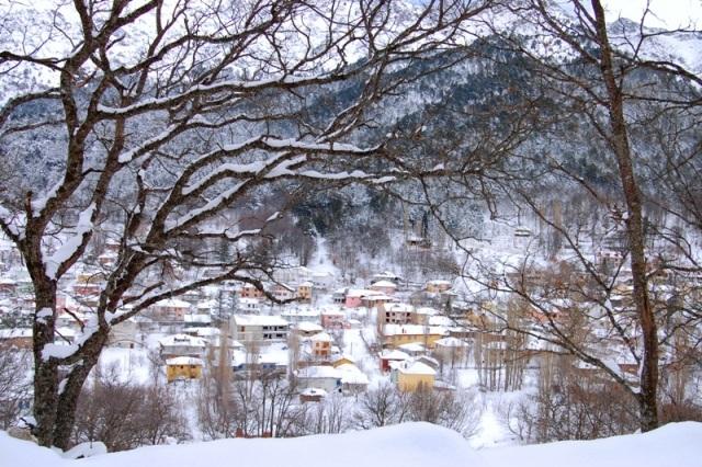 BOZDAG YAYLA PANSIYON