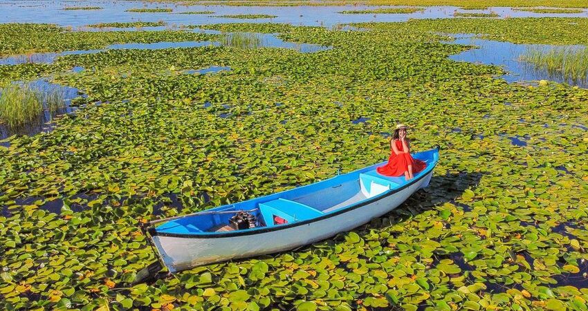 Aydın Çıkışlı Nilüfer Çiçekli Işıklı Göl Pamukkale Turu