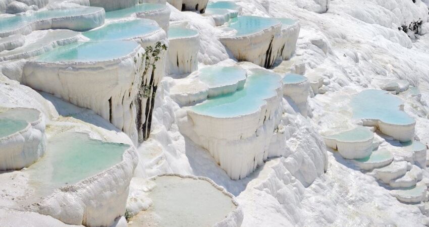 Aydın Çıkışlı Nilüfer Çiçekli Işıklı Göl Pamukkale Turu