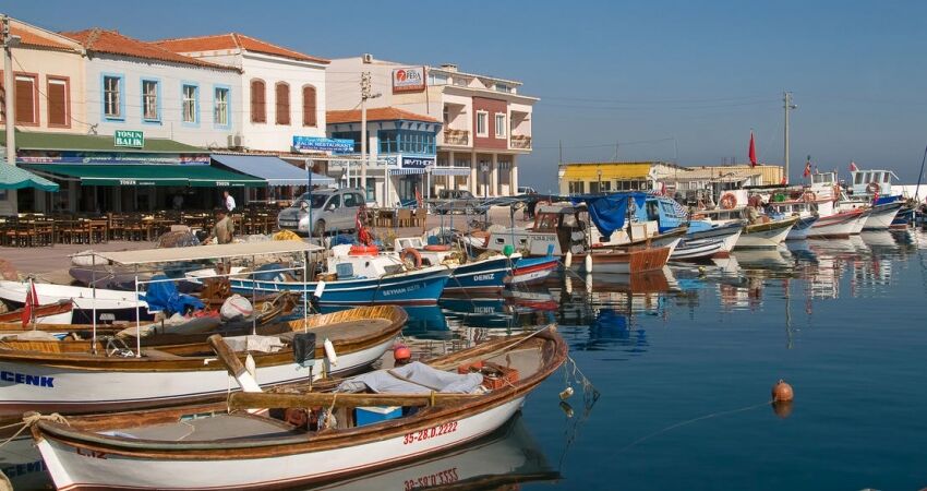 Aydın Çıkışlı Karaburun Nergis Çiçeği Festivali Turu