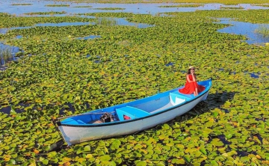 Aydın Çıkışlı Nilüfer Çiçekli Işıklı Göl Pamukkale Turu