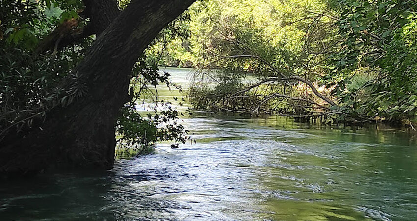 Aydın Çıkışlı Arapapıştı Kanyonu Turu