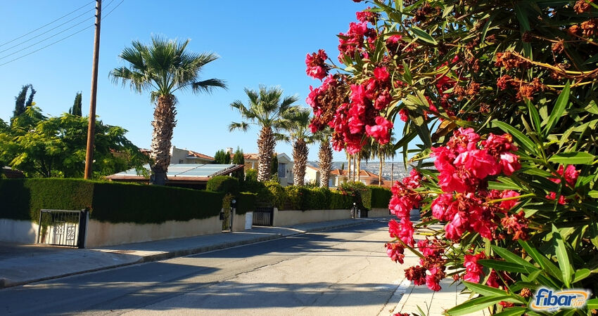 Aydın Çıkışlı Datça Marmaris Akyaka Turu