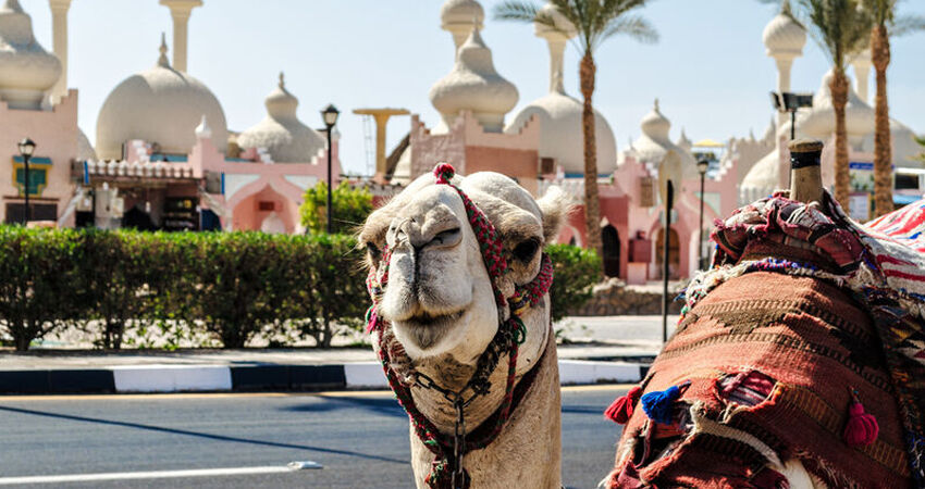 Aydın Çıkışlı Kahire - Sharm El Sheikh Turu