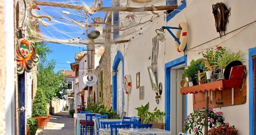 Aydın Çıkışlı Urla Enginar Festivali Sığacık Turu