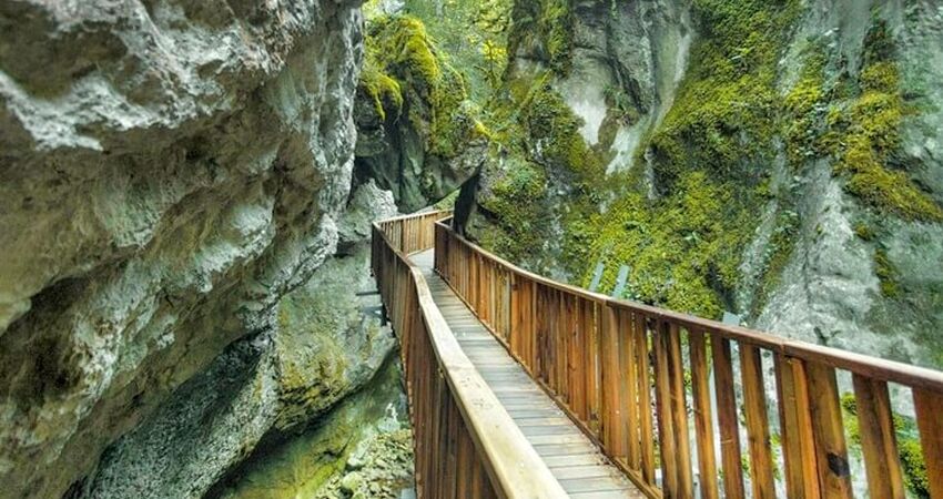 Aydın Çıkışlı Kastamonu Safranbolu Zonguldak Turu