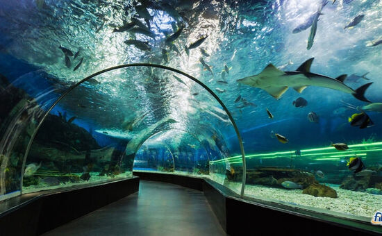 Antalya Düden Şelalesi Akvaryum Turu