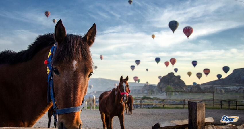 Aydın Çıkışlı Kapadokya Rüya Turu ( 2 Gece Konaklama )