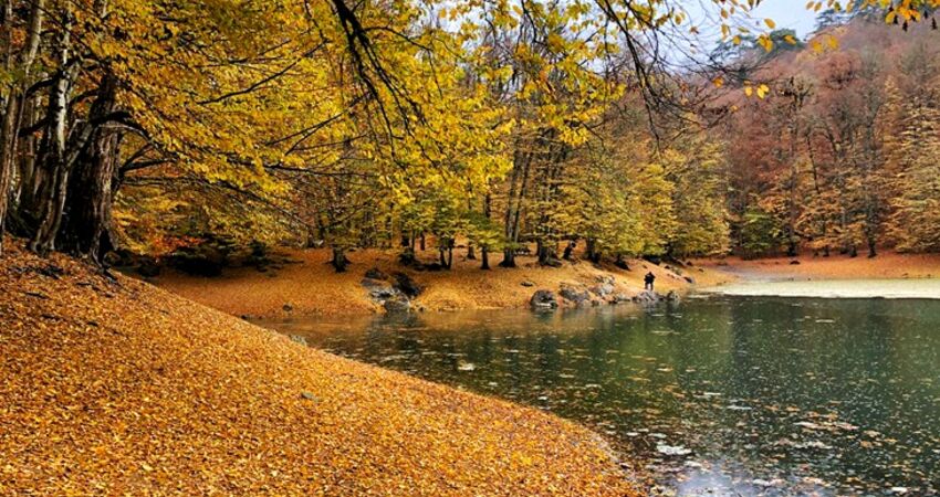 Aydın Çıkışlı Yedigöller Abant Ormanya Maşukiye  Turu