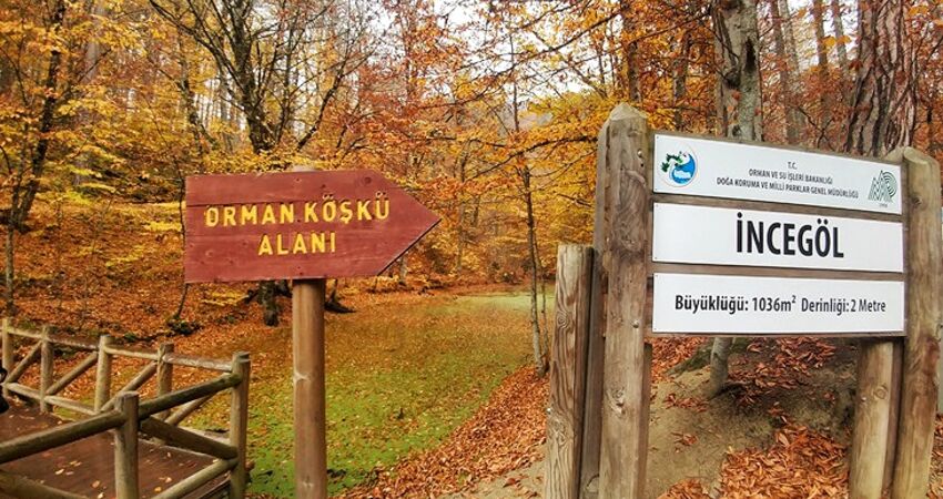 Aydın Çıkışlı Yedigöller Abant Ormanya Maşukiye  Turu