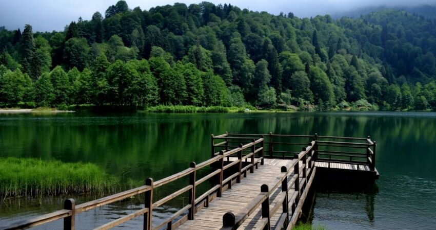 Aydın Çıkışlı Karadeniz Turu Fibar Özel