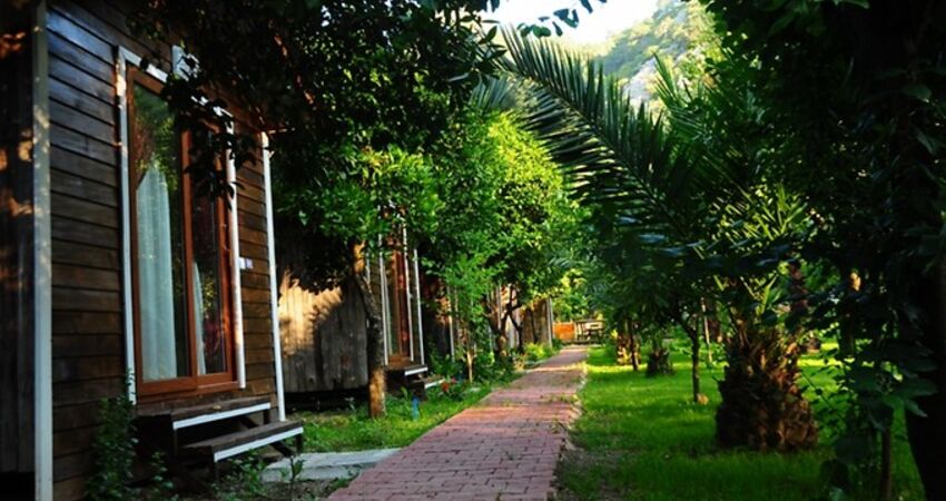 Aydın Çıkışlı Olimpos Adrasan Suluada Phaselis Turu