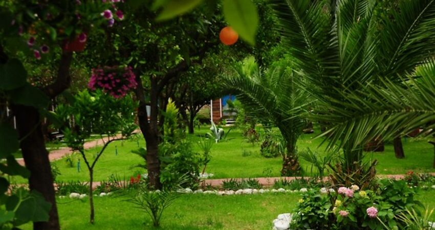 Aydın Çıkışlı Olimpos Adrasan Suluada Phaselis Turu